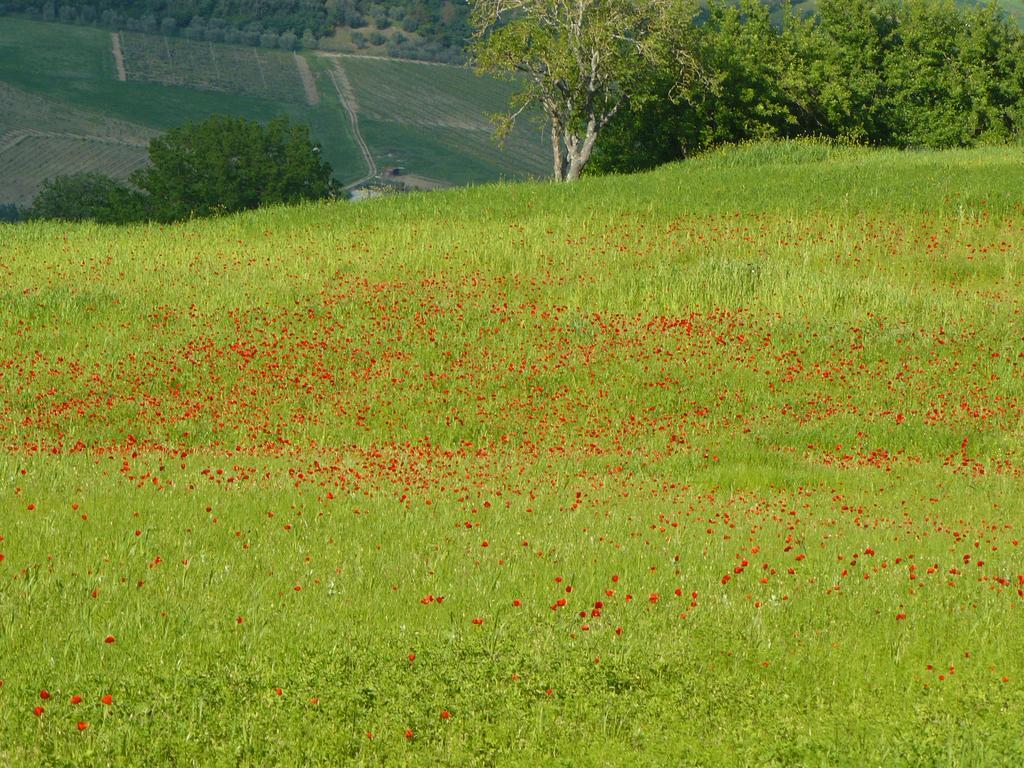 Il Palazzo Dei Diavoli Villa Montepulciano Stazione Dış mekan fotoğraf
