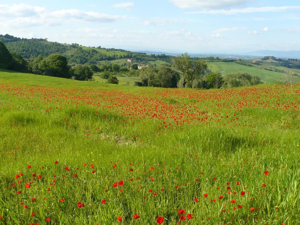Il Palazzo Dei Diavoli Villa Montepulciano Stazione Dış mekan fotoğraf